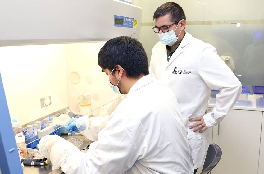 Doctorado en Neurobiología U. Mayor aumentó su periodo de acreditación ante la CNA