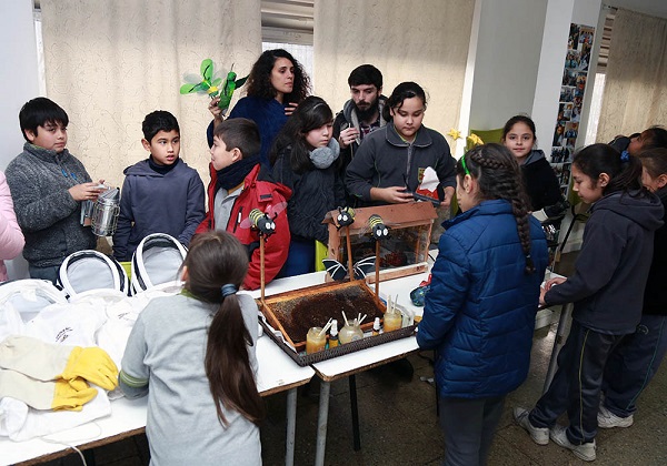Proyecto// U. Mayor y CONICYT finalizan primer semestre del ciclo de aprendizaje sobre polinizadores