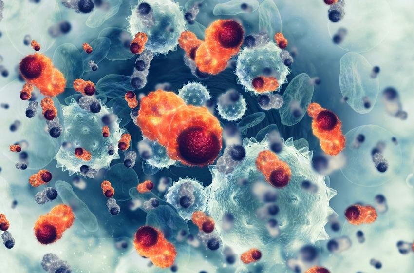Estudio U. Mayor mostró la importancia de la Oncología de Precisión en pacientes chilenos con cáncer