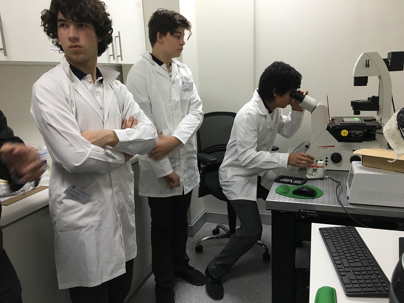 Difusión//  Estudiantes de Enseñanza Media conocieron los Centros de Investigación de la U. Mayor