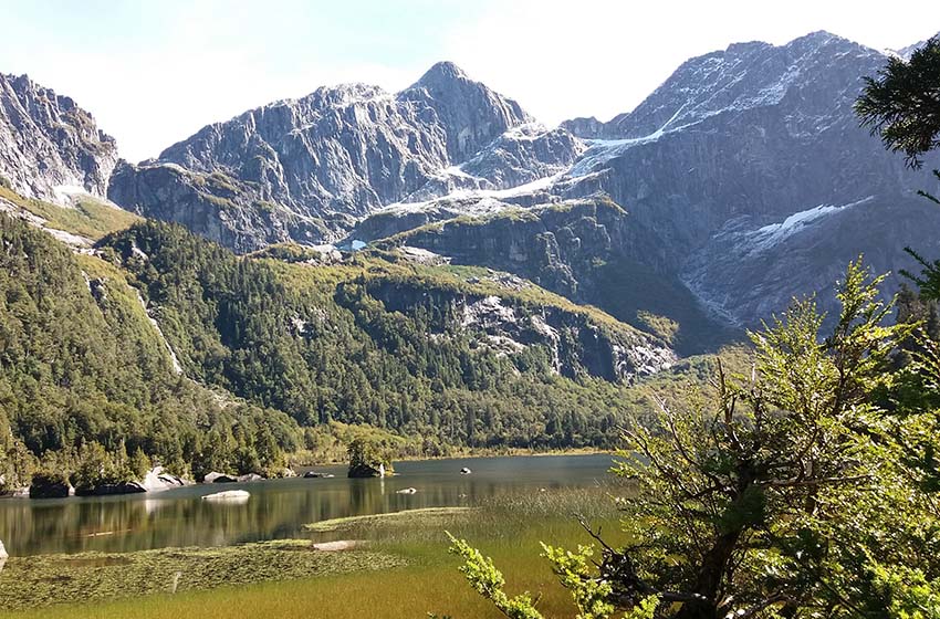 Ingeniería Forestal U. Mayor valida su calidad y obtiene 4 años de certificación