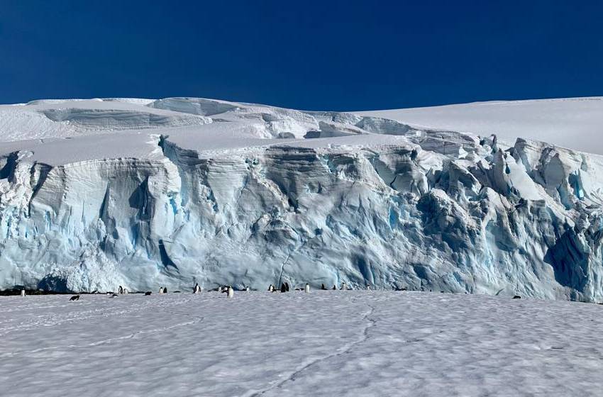 Las concentraciones de contaminantes en la Antártica han disminuido en los últimos 40 años