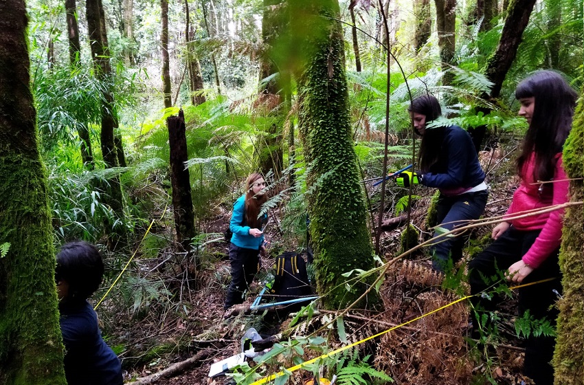 Investigadores del Centro Hémera encabezaron curso teórico-práctico “Clima y Dinámica de Bosques mediante Dendrocronología”