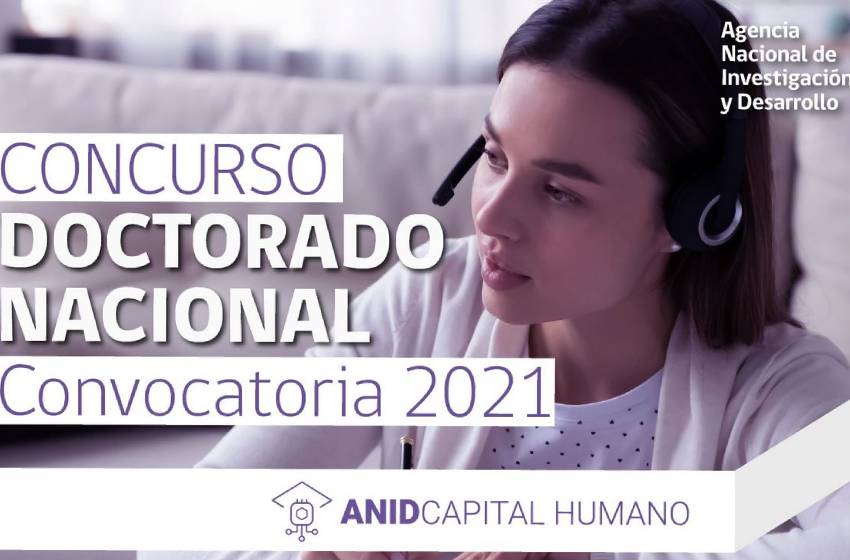 Tres estudiantes fueron becados por la ANID para cursar sus doctorados en la U. Mayor
