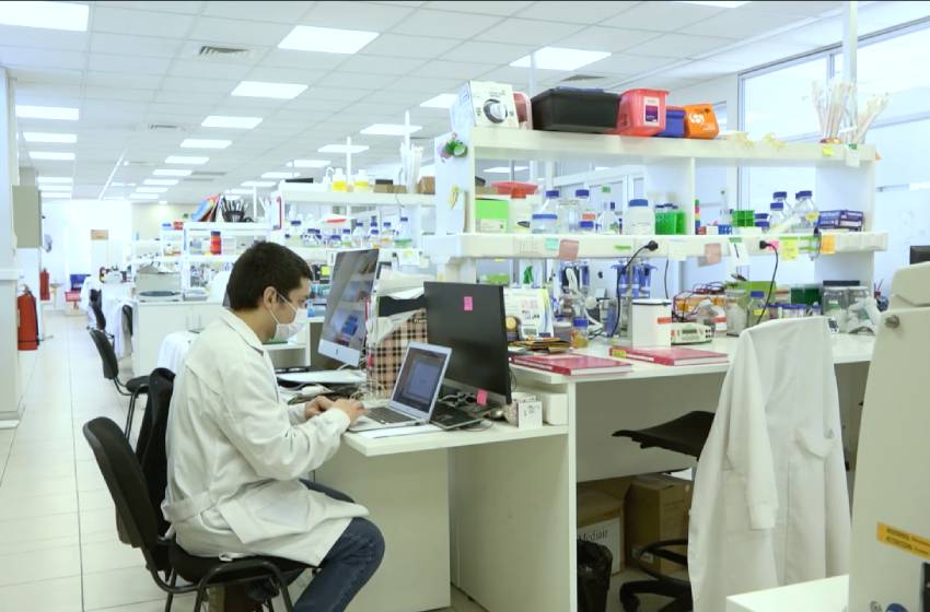 Doctorado en Genómica Integrativa U. Mayor se consolida tras recibir acreditación por otros cuatro años