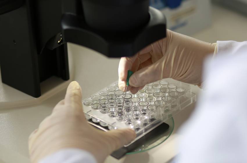 Doctorado en Neurobiología inicia su cuarta versión buscando entregar una visión más amplia de la disciplina