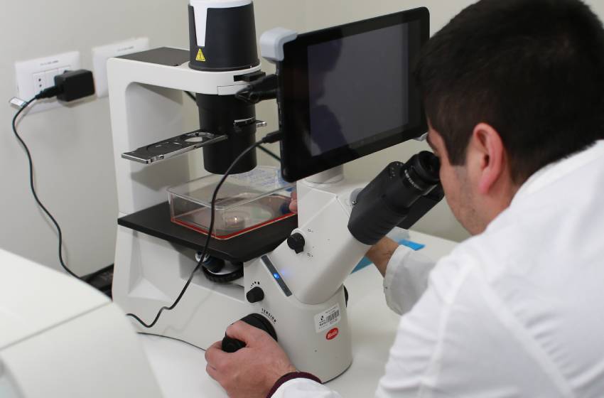 Subsecretaria de Ciencias encabezará inauguración del año académico de los Programas de Doctorado U. Mayor