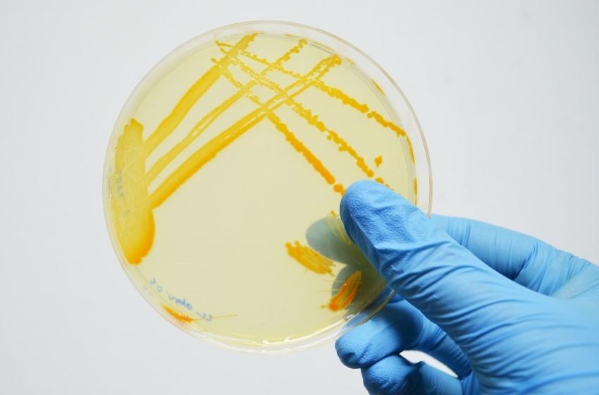 Cinco investigadores de la U. Mayor se adjudicaron proyectos Fondecyt Regular 2022