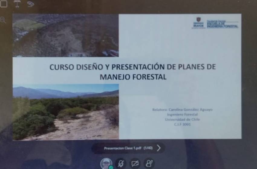Ingeniería Forestal dicta curso gratuito sobre elaboración de planes de manejo forestal