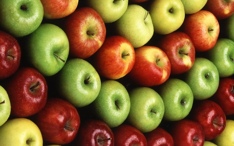 Encuentro// Investigadores U. Mayor analizan la historia y el futuro de la producción de manzanas en Chile
