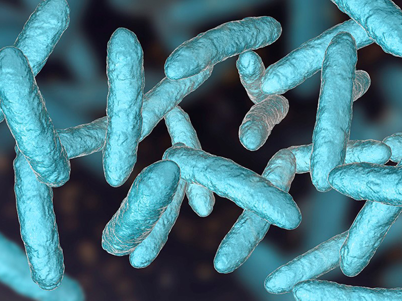 Investigación // Investigador U. Mayor demostró el rol de la microbiota en la mayor sobrevida de pacientes con cáncer de páncreas