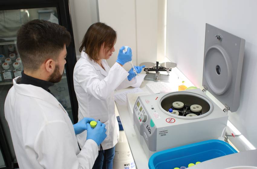 ¿Genómica, Neurobiología, Ecología, Materiales Avanzados, Física o Políticas Públicas? : Conoce los Doctorados que desarrolla la U. Mayor