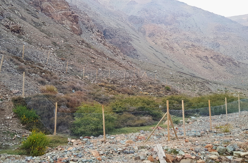 Ambicioso proyecto para recuperar áreas erosionadas por la ganadería en el Santuario de la Naturaleza Los Nogales