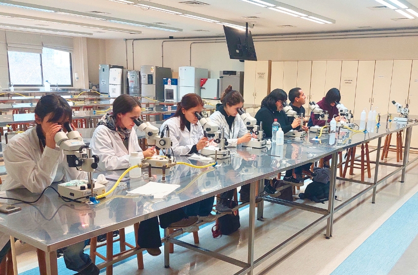 Estudiantes se capacitan en métodos para identificar nuevas especies de insectos