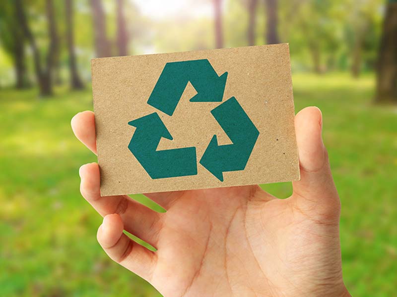 Medio ambiente// Ser sustentable es más fácil de lo que crees: experta entrega guía para una rutina “eco-amigable”