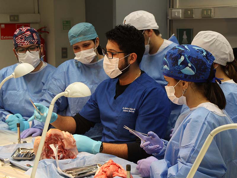 SOCEOUM// Talleres y charlas de expertos internacionales: la activa agenda de la Sociedad Científica de Estudiantes de Odontología durante 2019
