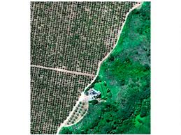 postgrado// Académicos U. Mayor plantearon la importancia del uso de tecnologías satelitales para lograr una producción agrícola sustentable