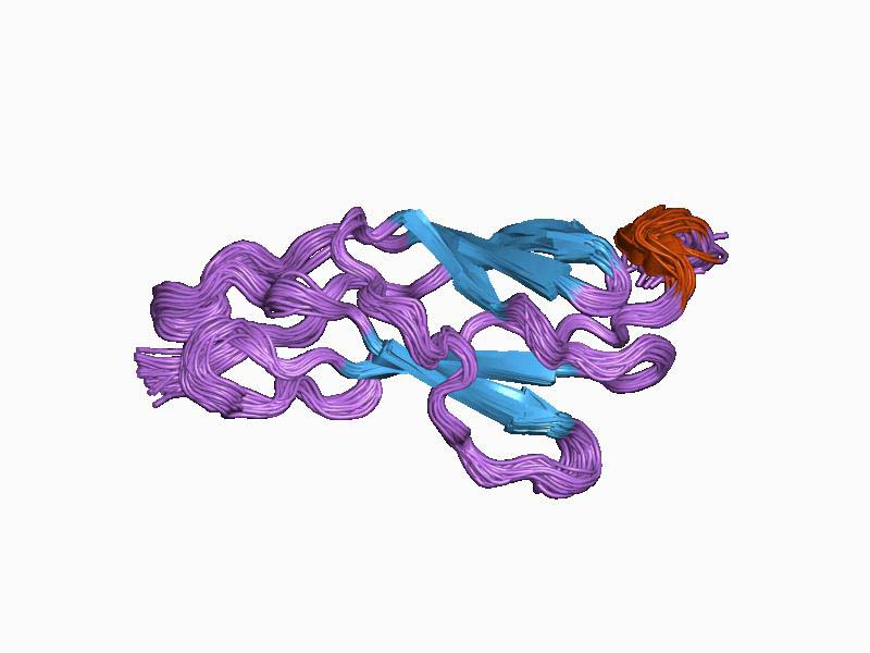 Biología mecánica// Estudio de investigador U. Mayor sobre proteína clave en el sistema muscular es publicado en la prestigiosa revista Nature Communications