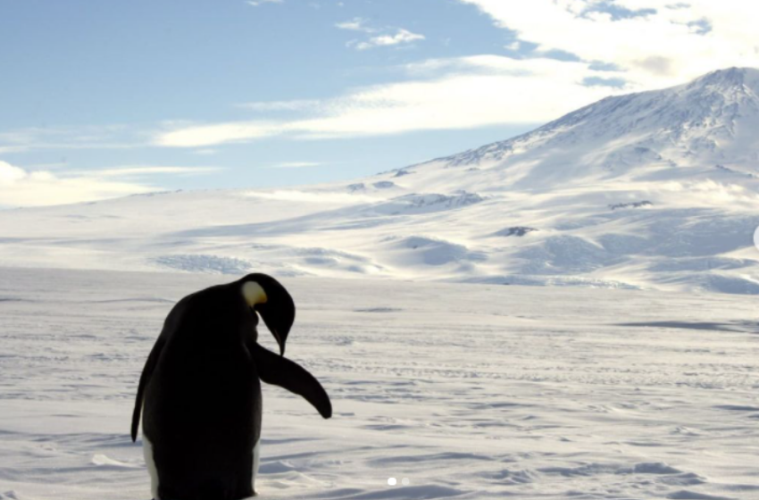 Estudiante de Geología inicia viaje a la Antártica para entender origen del volcanismo en la zona
