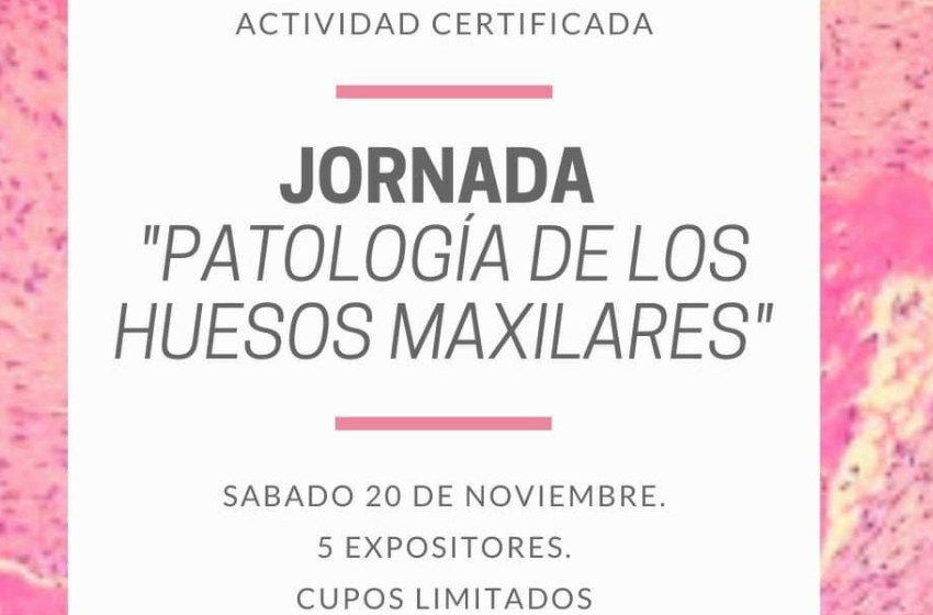 Estudiantes de Odontología reunirán a expertos para debatir sobre patologías de los Huesos Maxilares