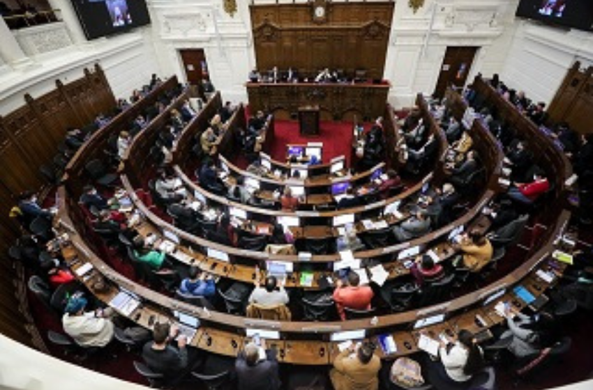 Proceso constituyente y lealtad democrática