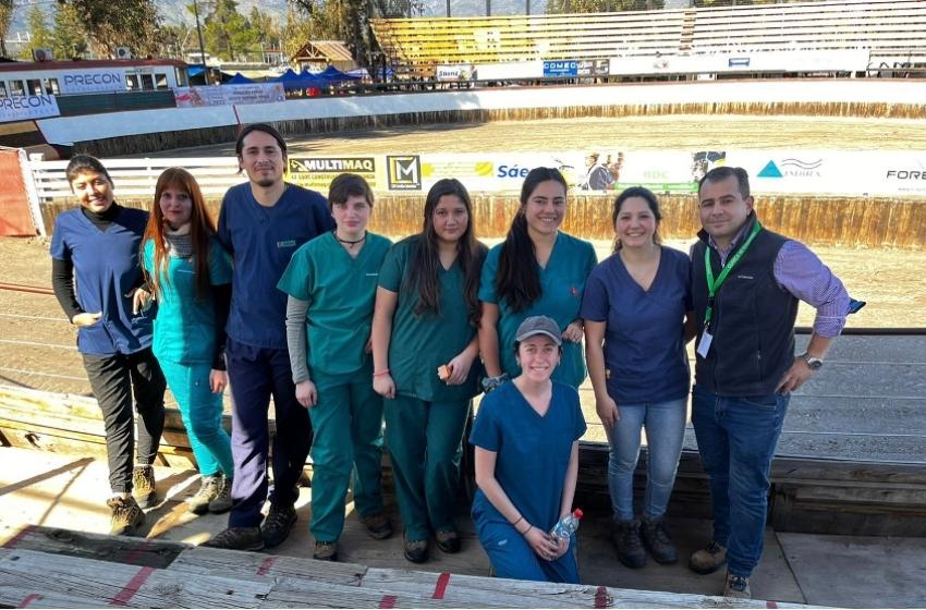 Medicina Veterinaria brindó atención médica en el 21° Campeonato Nacional Escolar de Rodeo en Pirque